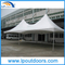 5X10m Горячие продажи Красивая палатка для отдыха на открытом воздухе